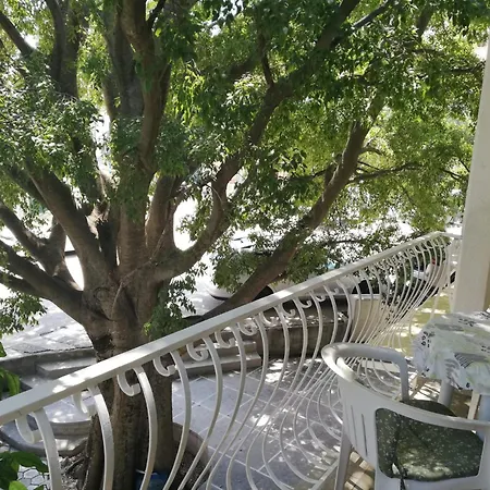 アパート Kristina ドルヴェニク